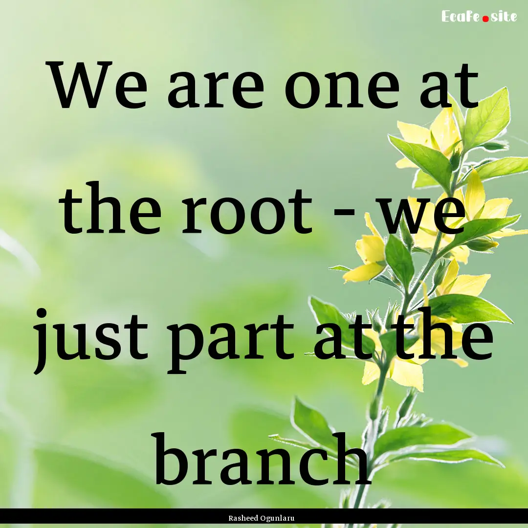 We are one at the root - we just part at.... : Quote by Rasheed Ogunlaru