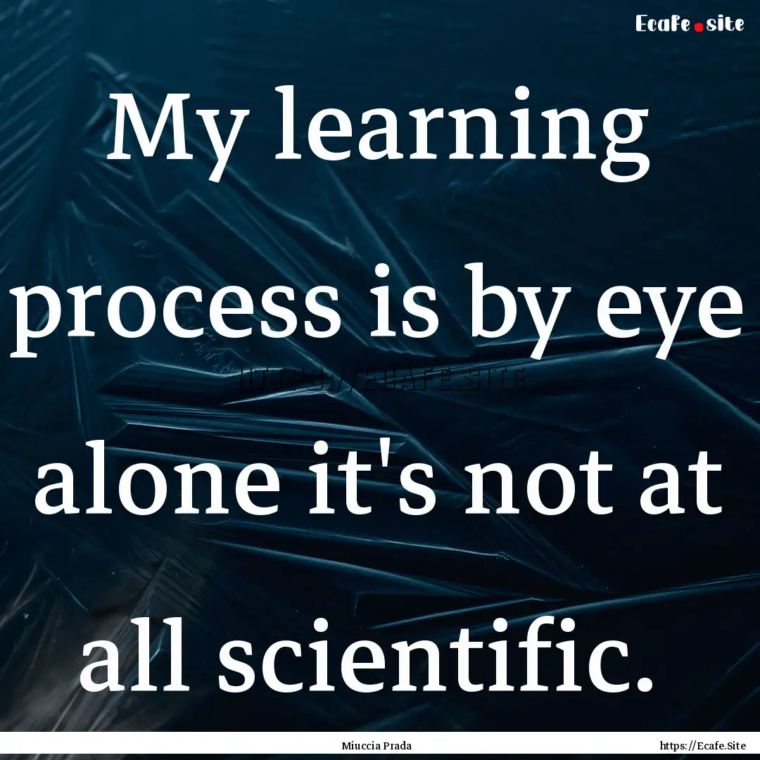 My learning process is by eye alone it's.... : Quote by Miuccia Prada