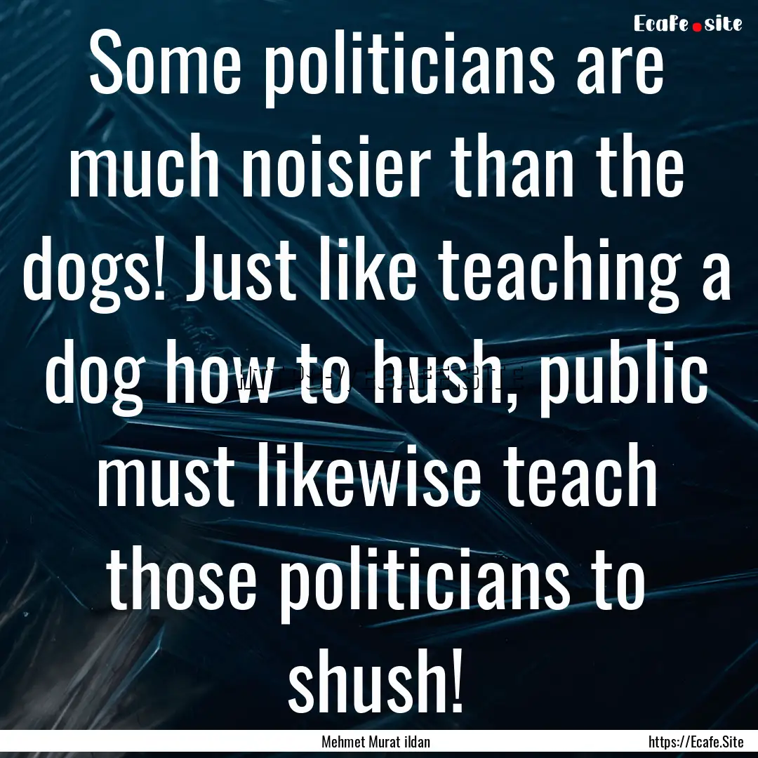 Some politicians are much noisier than the.... : Quote by Mehmet Murat ildan