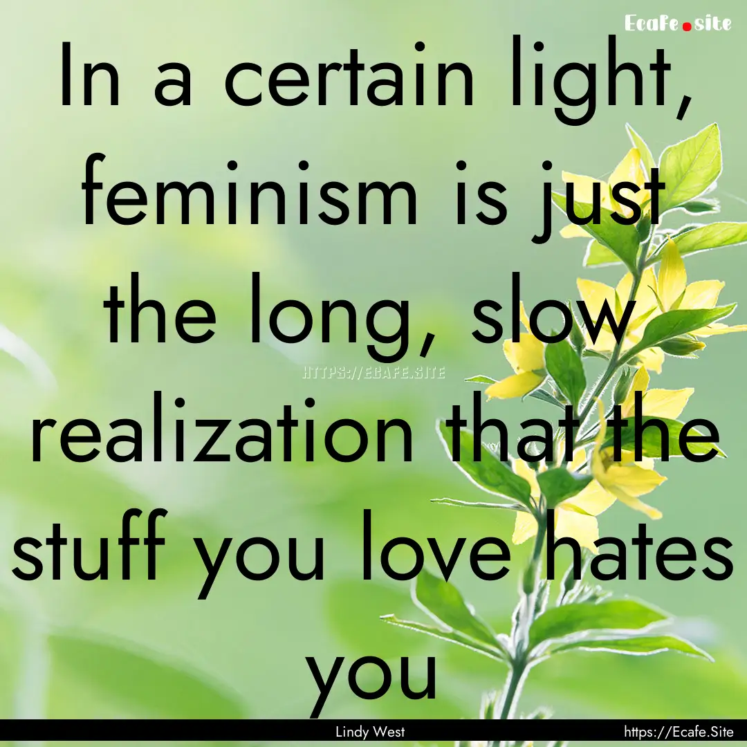 In a certain light, feminism is just the.... : Quote by Lindy West