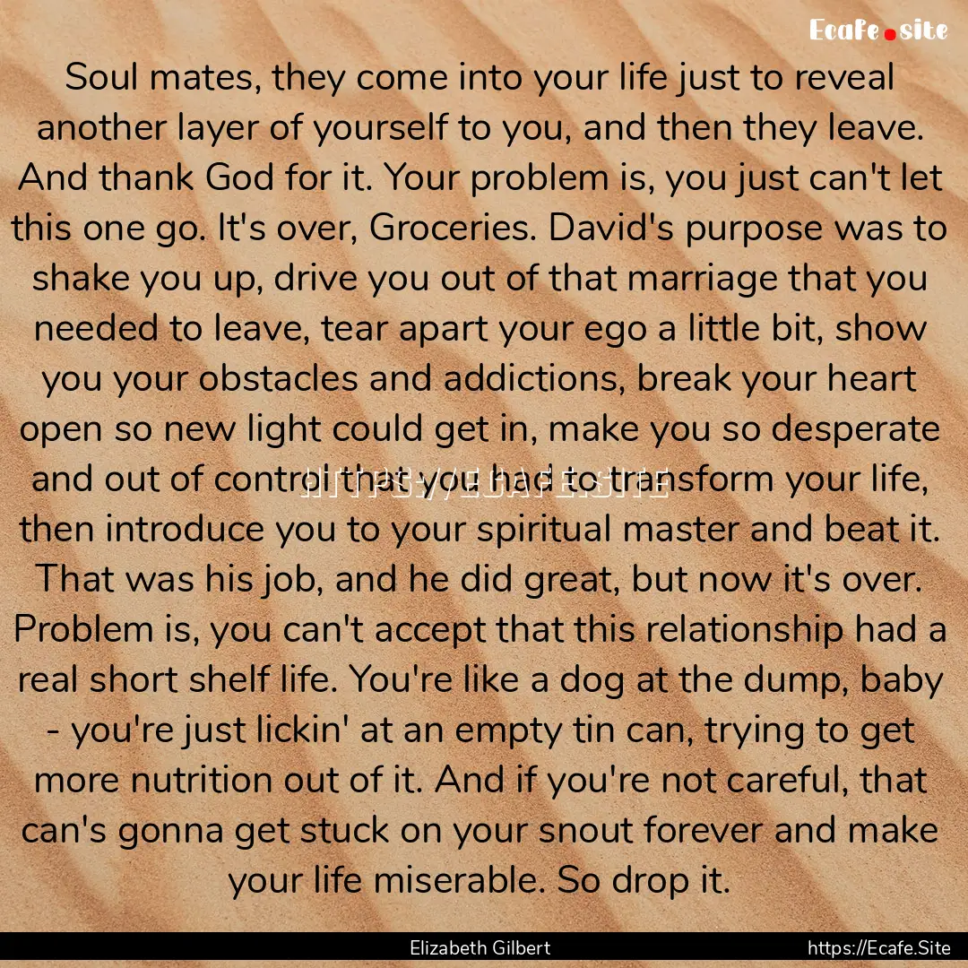 Soul mates, they come into your life just.... : Quote by Elizabeth Gilbert