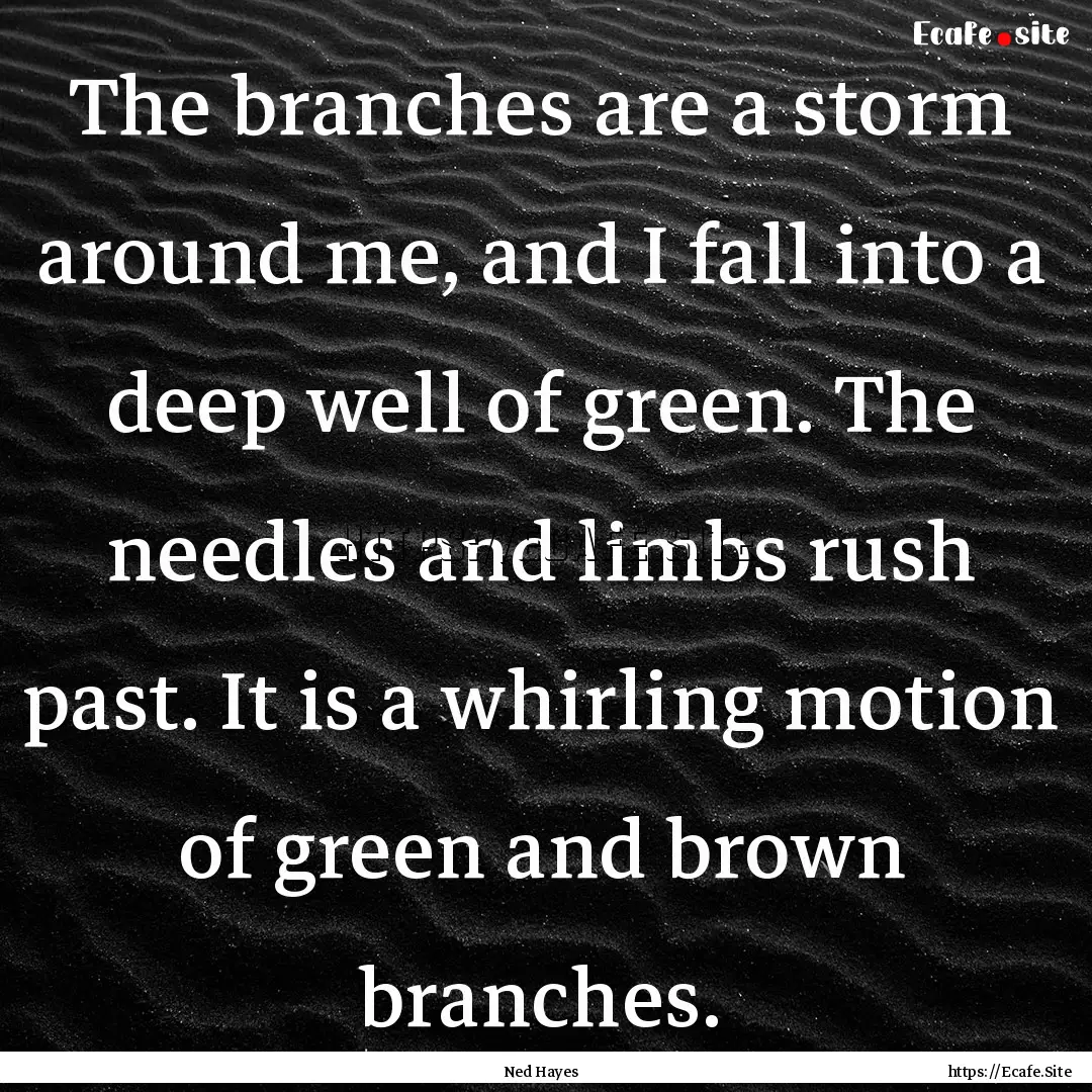 The branches are a storm around me, and I.... : Quote by Ned Hayes