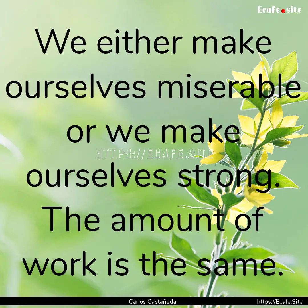 We either make ourselves miserable or we.... : Quote by Carlos Castañeda