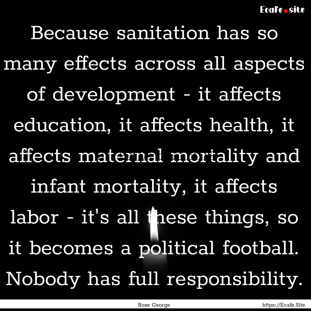 Because sanitation has so many effects across.... : Quote by Rose George