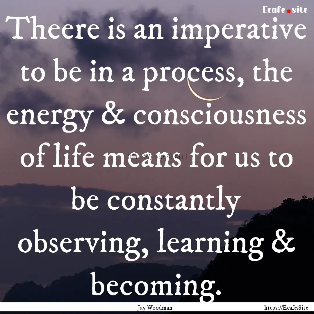 Theere is an imperative to be in a process,.... : Quote by Jay Woodman