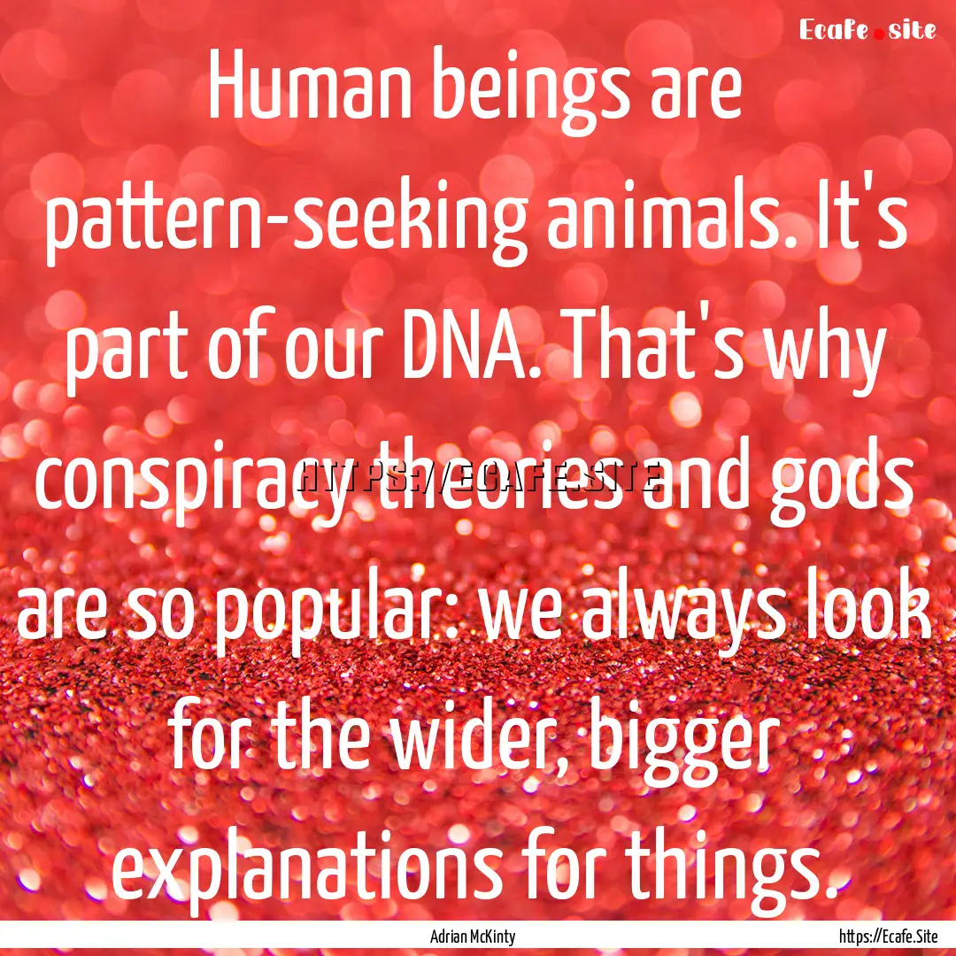 Human beings are pattern-seeking animals..... : Quote by Adrian McKinty