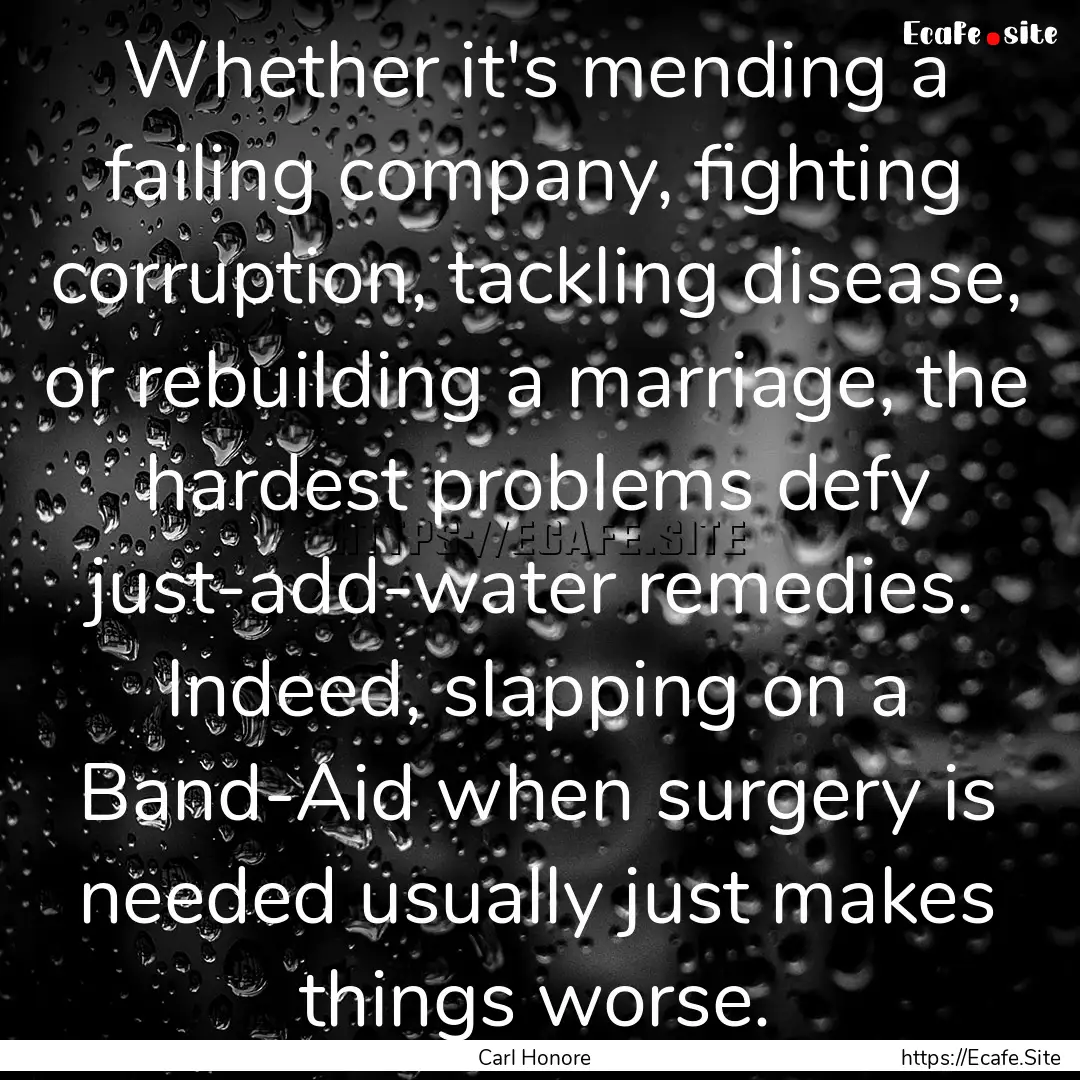 Whether it's mending a failing company, fighting.... : Quote by Carl Honore