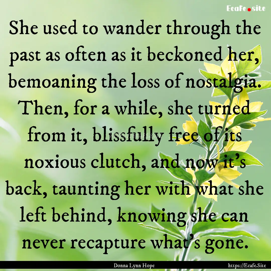 She used to wander through the past as often.... : Quote by Donna Lynn Hope