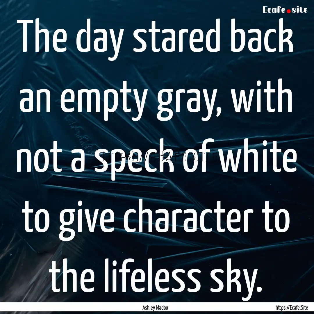 The day stared back an empty gray, with not.... : Quote by Ashley Madau