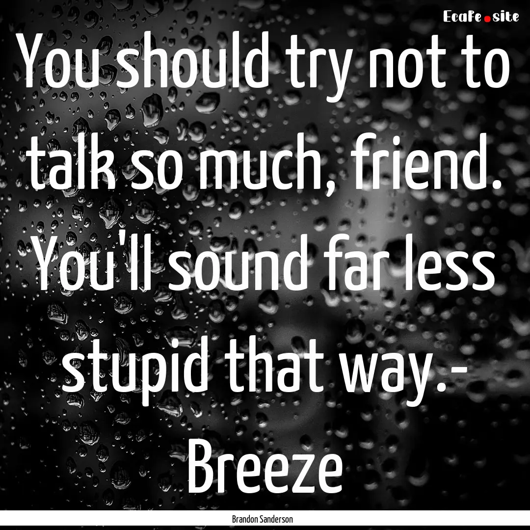 You should try not to talk so much, friend..... : Quote by Brandon Sanderson