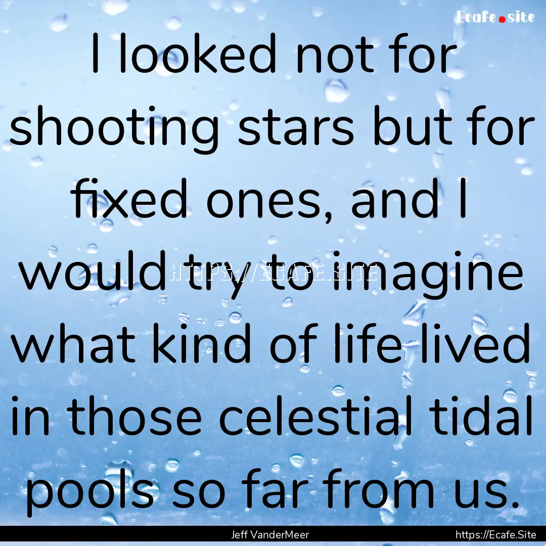 I looked not for shooting stars but for fixed.... : Quote by Jeff VanderMeer