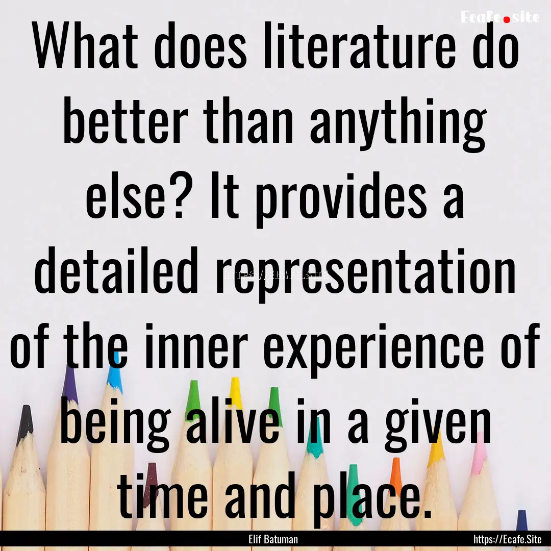 What does literature do better than anything.... : Quote by Elif Batuman