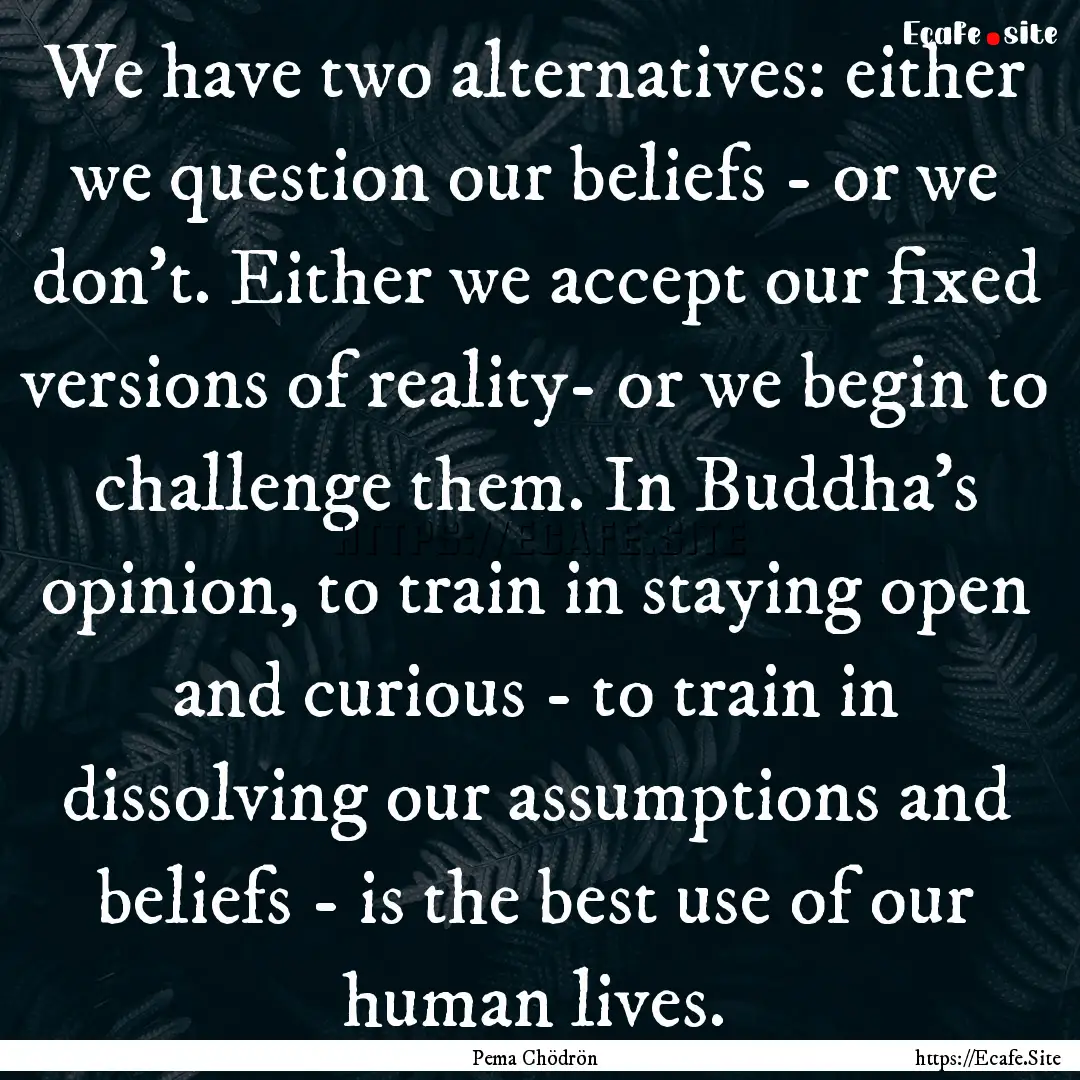 We have two alternatives: either we question.... : Quote by Pema Chödrön