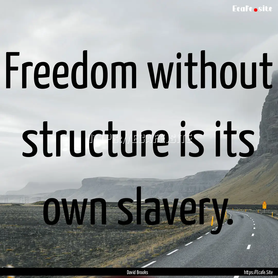 Freedom without structure is its own slavery..... : Quote by David Brooks