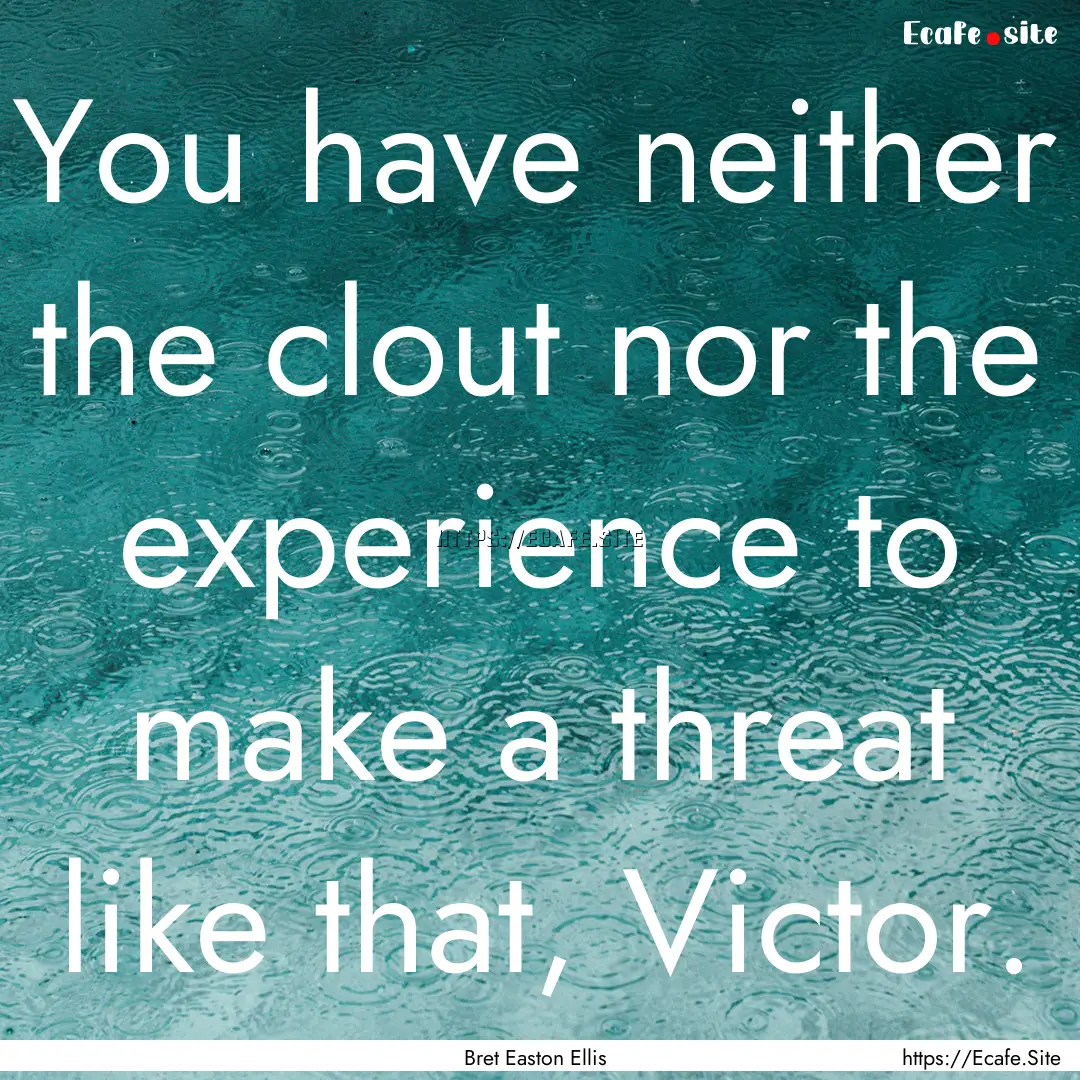 You have neither the clout nor the experience.... : Quote by Bret Easton Ellis