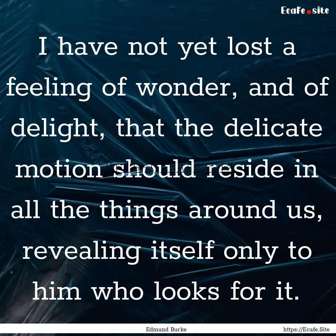 I have not yet lost a feeling of wonder,.... : Quote by Edmund Burke