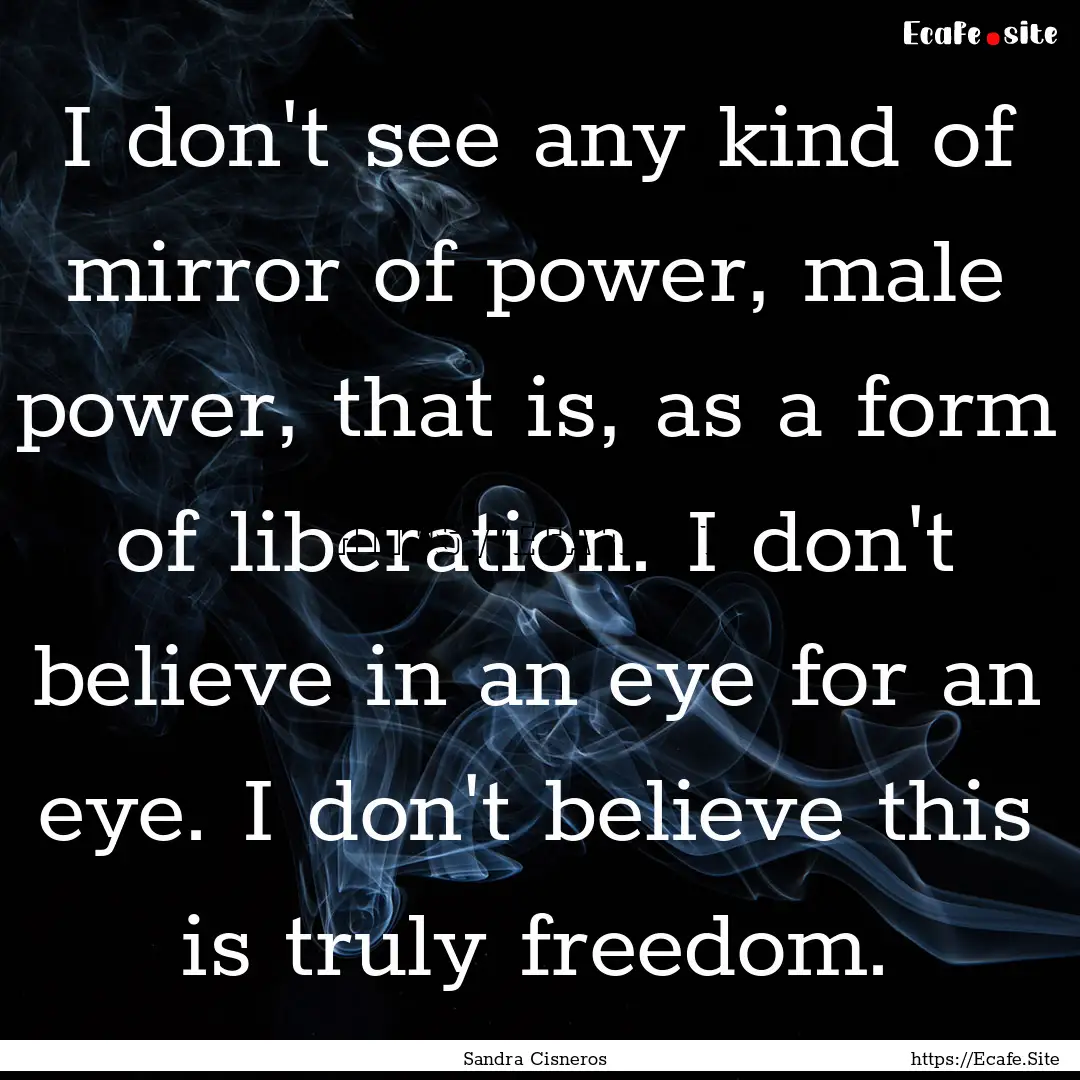 I don't see any kind of mirror of power,.... : Quote by Sandra Cisneros