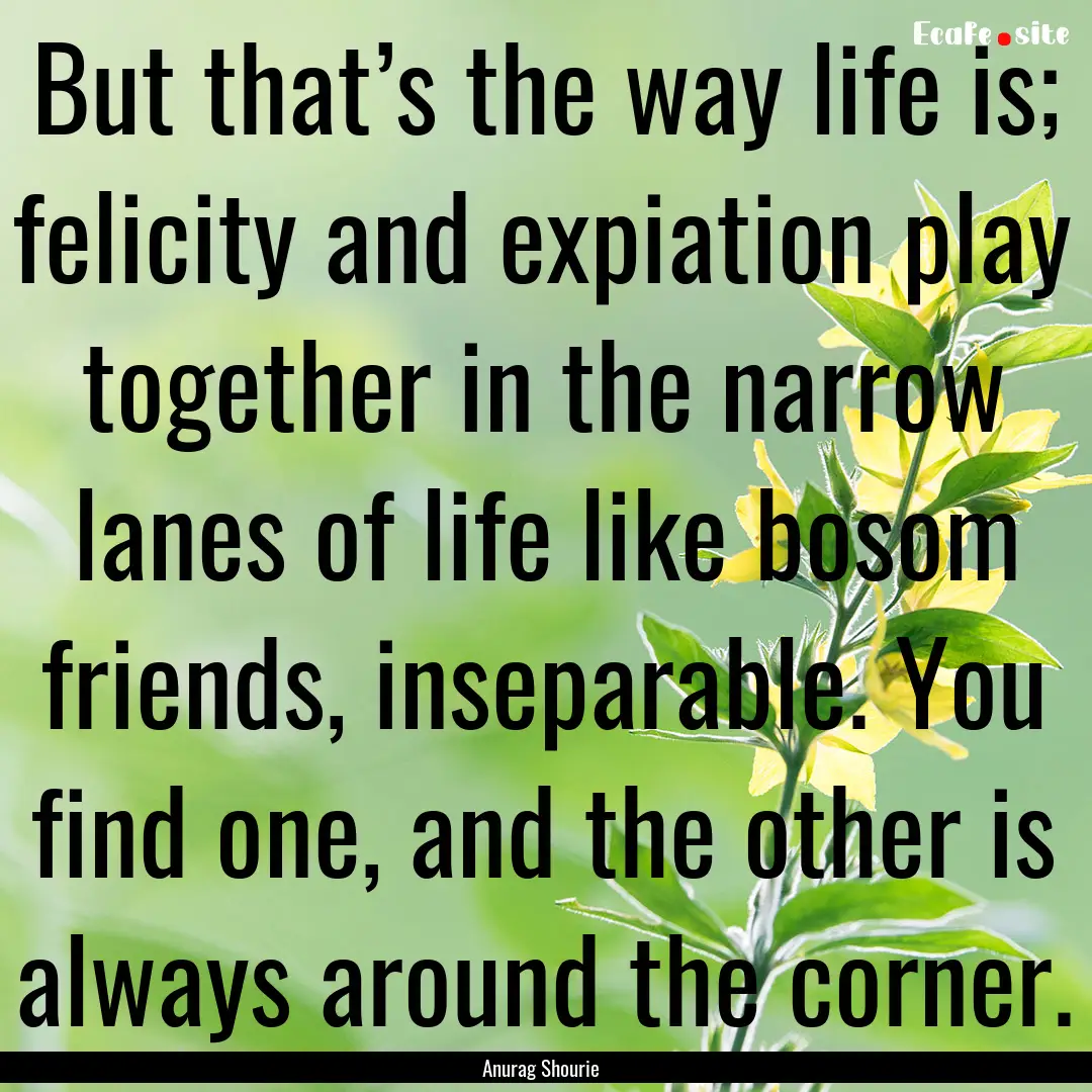 But that’s the way life is; felicity and.... : Quote by Anurag Shourie