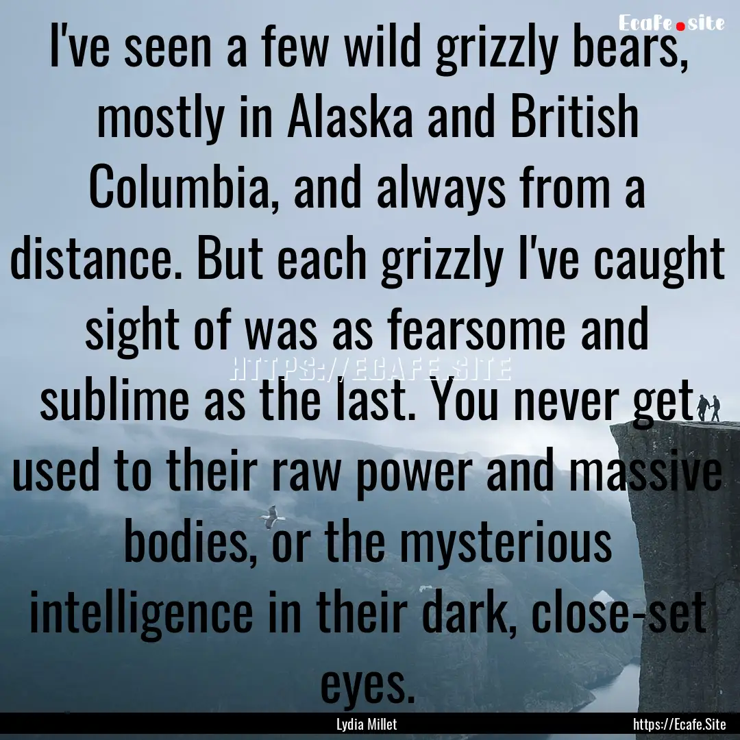 I've seen a few wild grizzly bears, mostly.... : Quote by Lydia Millet