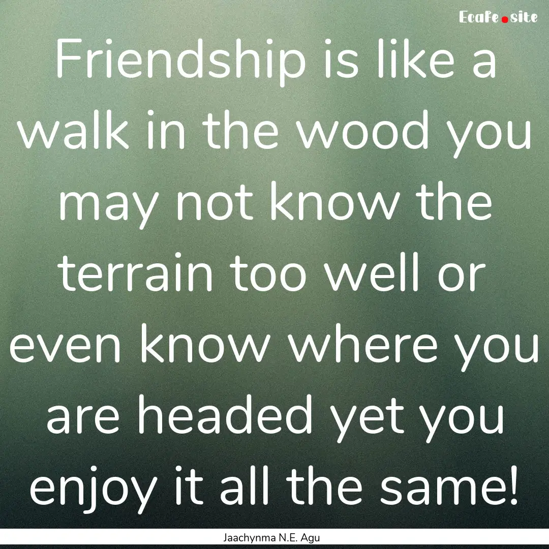 Friendship is like a walk in the wood you.... : Quote by Jaachynma N.E. Agu