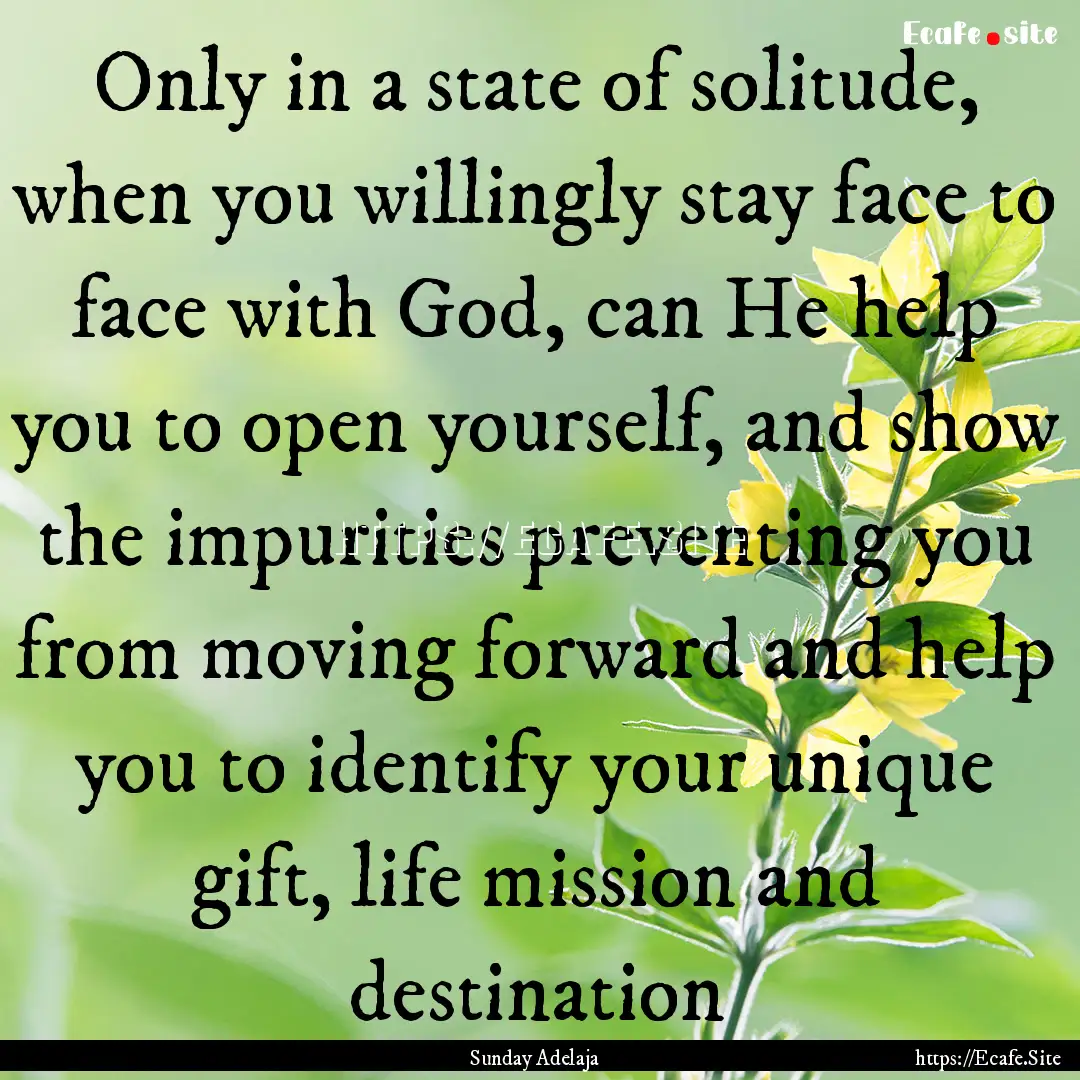 Only in a state of solitude, when you willingly.... : Quote by Sunday Adelaja