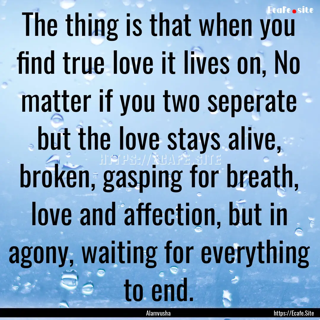 The thing is that when you find true love.... : Quote by Alamvusha