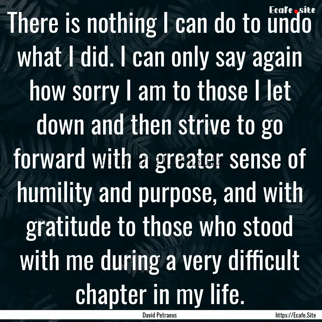 There is nothing I can do to undo what I.... : Quote by David Petraeus