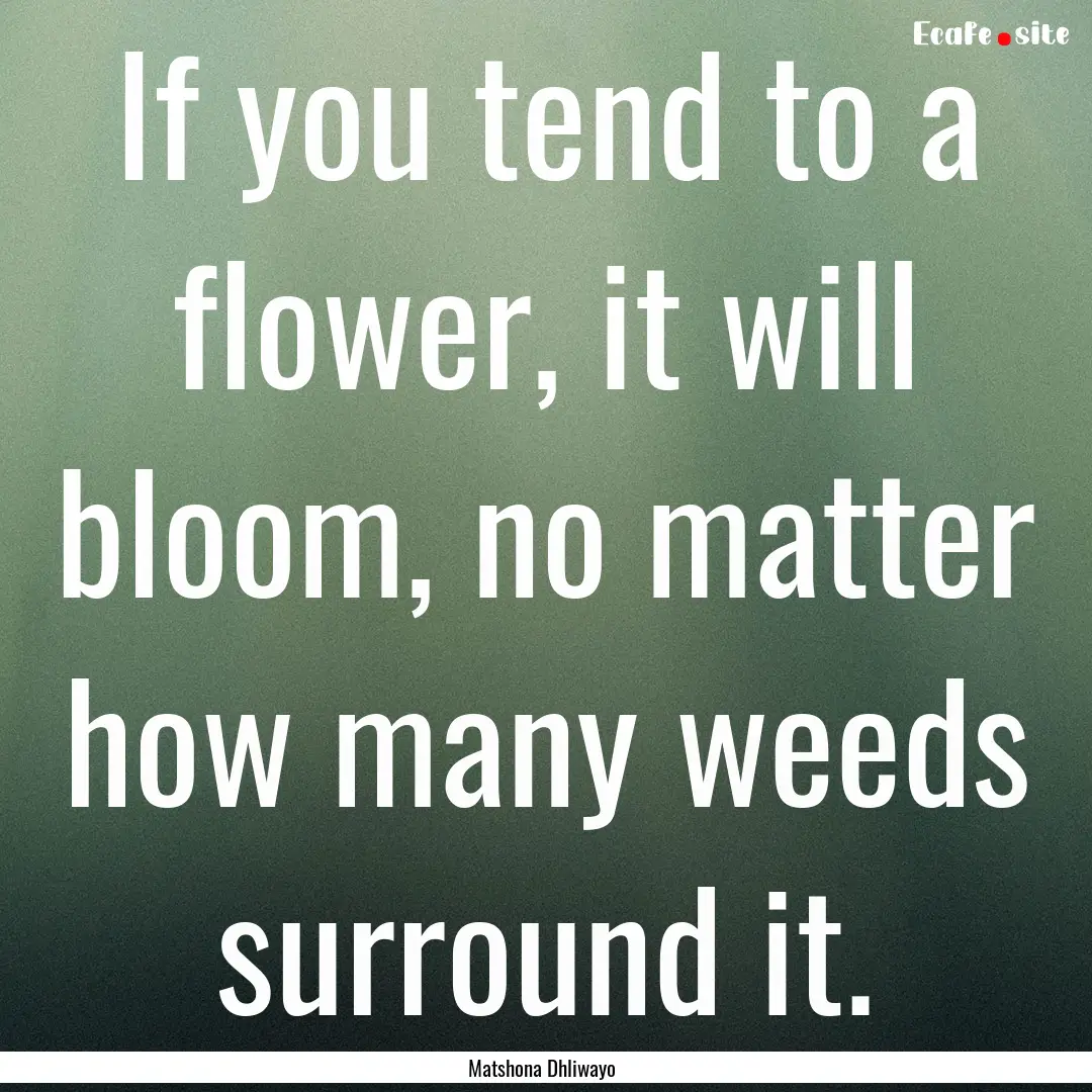 If you tend to a flower, it will bloom, no.... : Quote by Matshona Dhliwayo