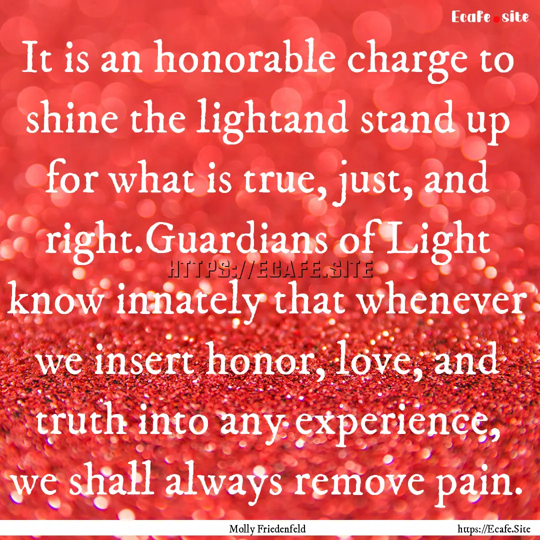 It is an honorable charge to shine the lightand.... : Quote by Molly Friedenfeld