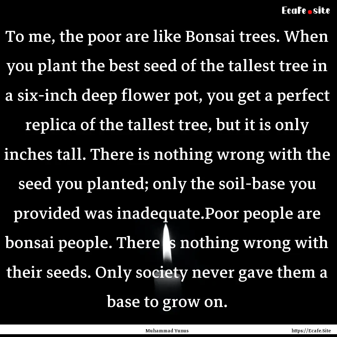 To me, the poor are like Bonsai trees. When.... : Quote by Muhammad Yunus