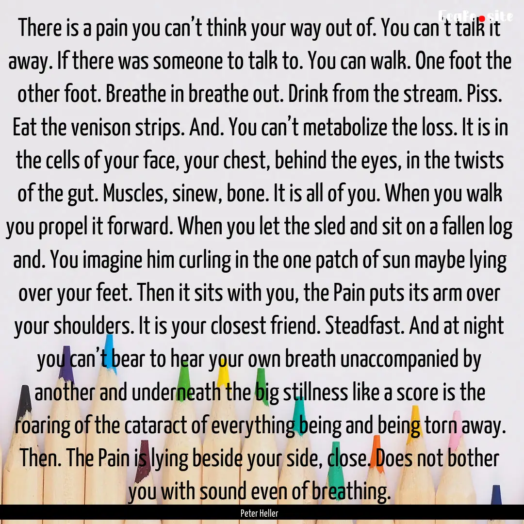 There is a pain you can’t think your way.... : Quote by Peter Heller