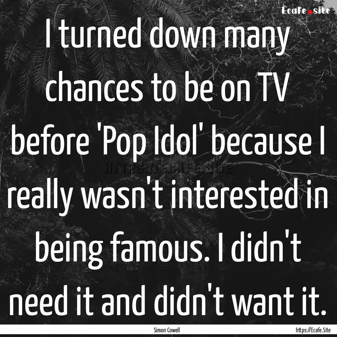 I turned down many chances to be on TV before.... : Quote by Simon Cowell