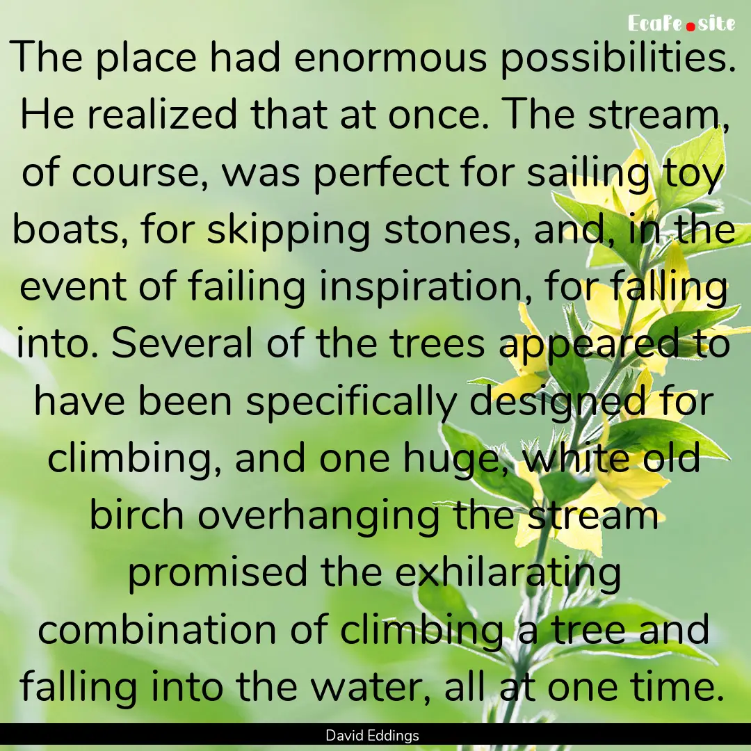 The place had enormous possibilities. He.... : Quote by David Eddings