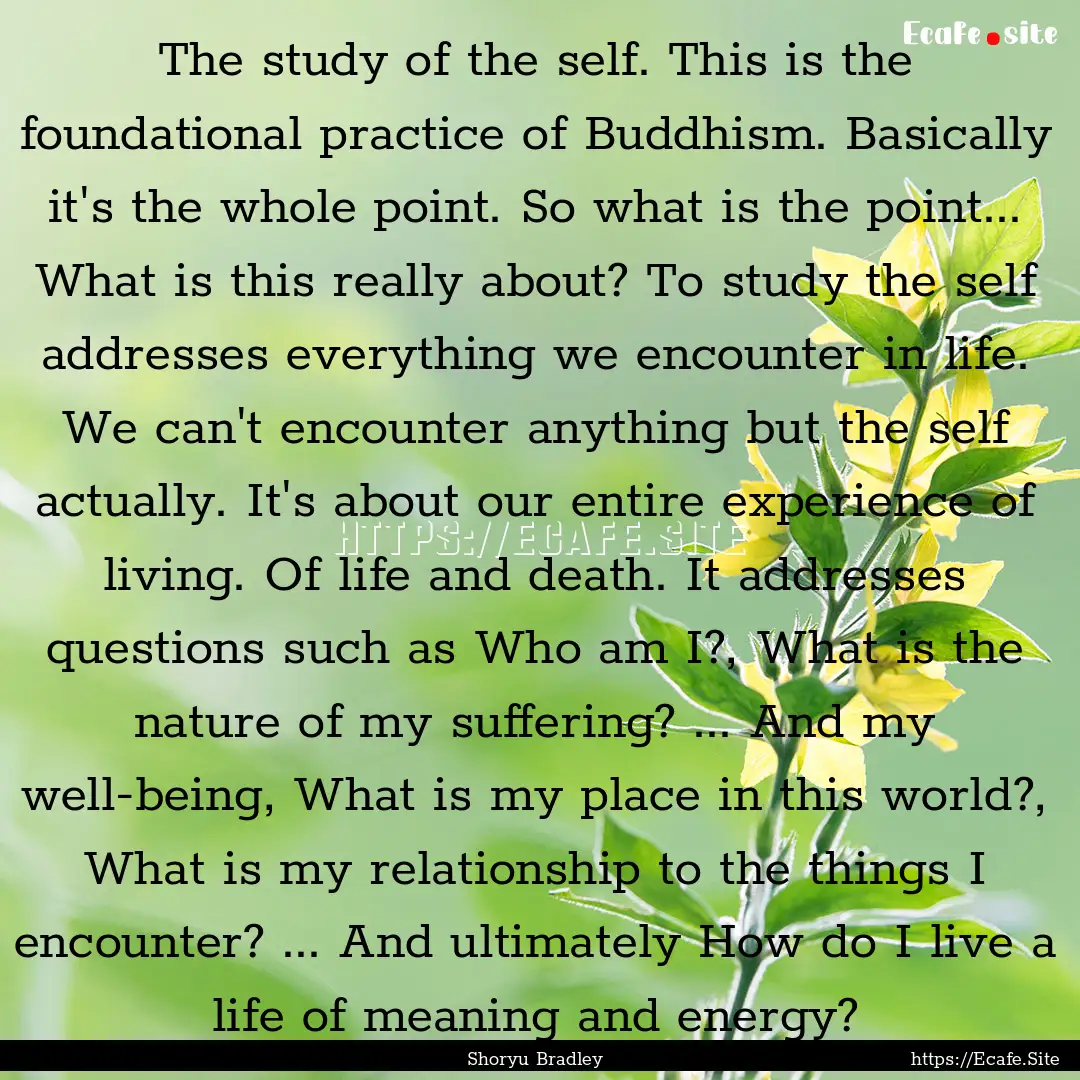 The study of the self. This is the foundational.... : Quote by Shoryu Bradley