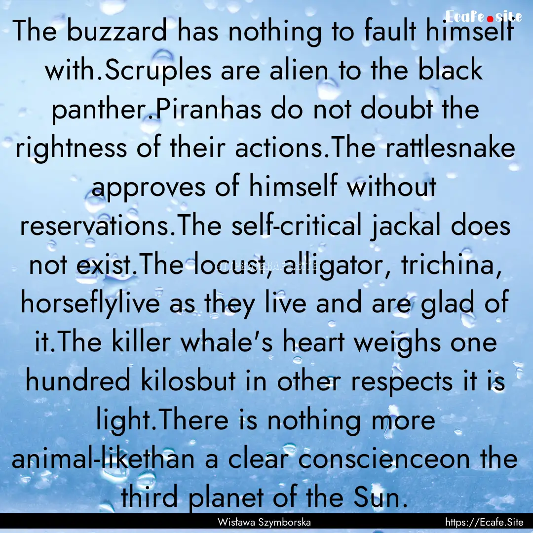 The buzzard has nothing to fault himself.... : Quote by Wisława Szymborska