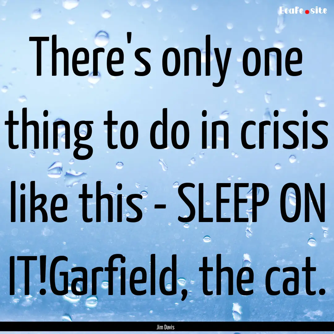 There's only one thing to do in crisis like.... : Quote by Jim Davis