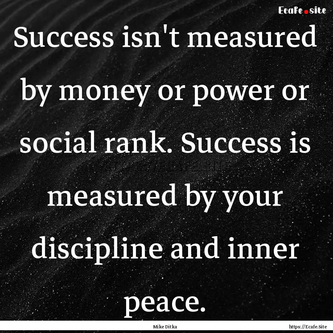 Success isn't measured by money or power.... : Quote by Mike Ditka