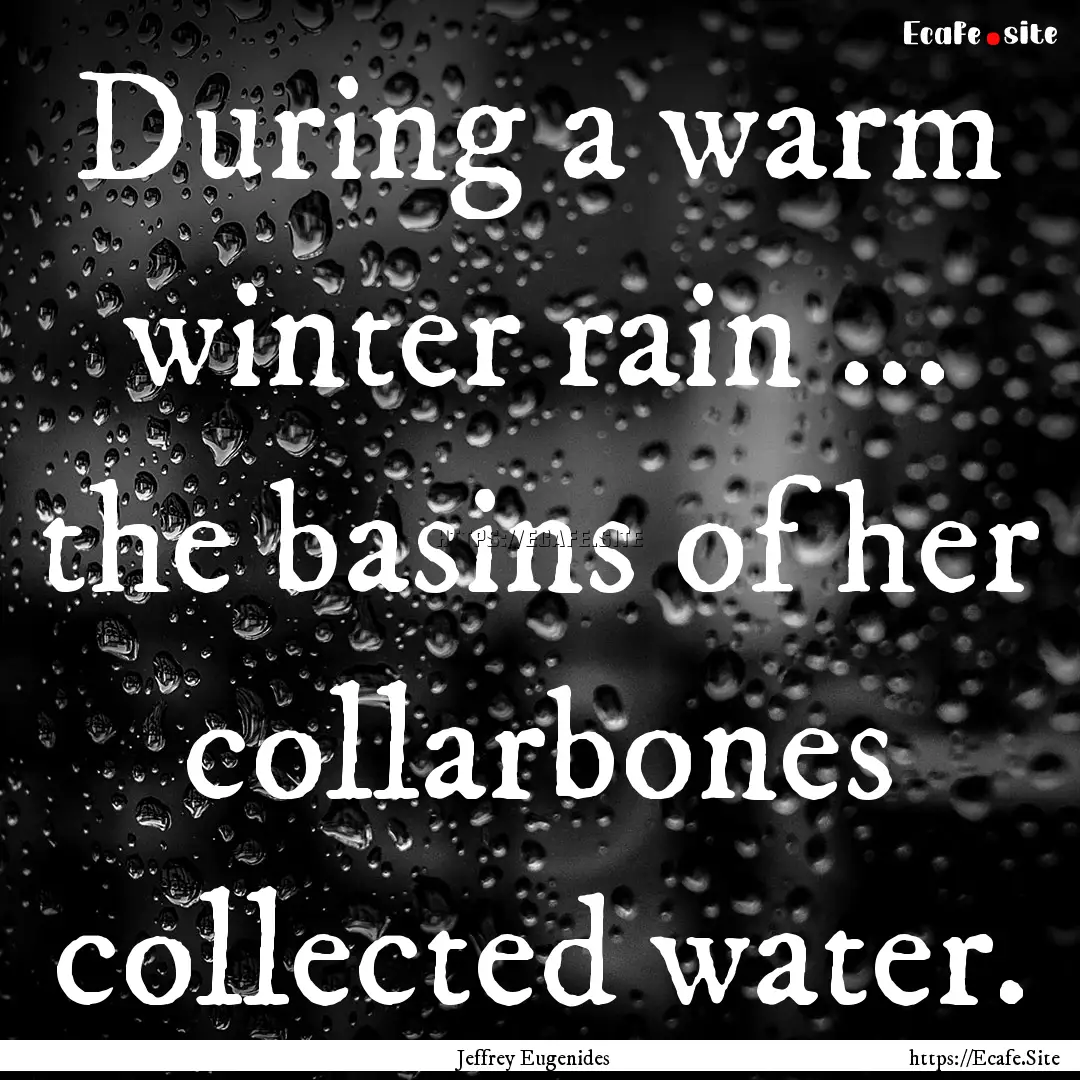 During a warm winter rain ... the basins.... : Quote by Jeffrey Eugenides