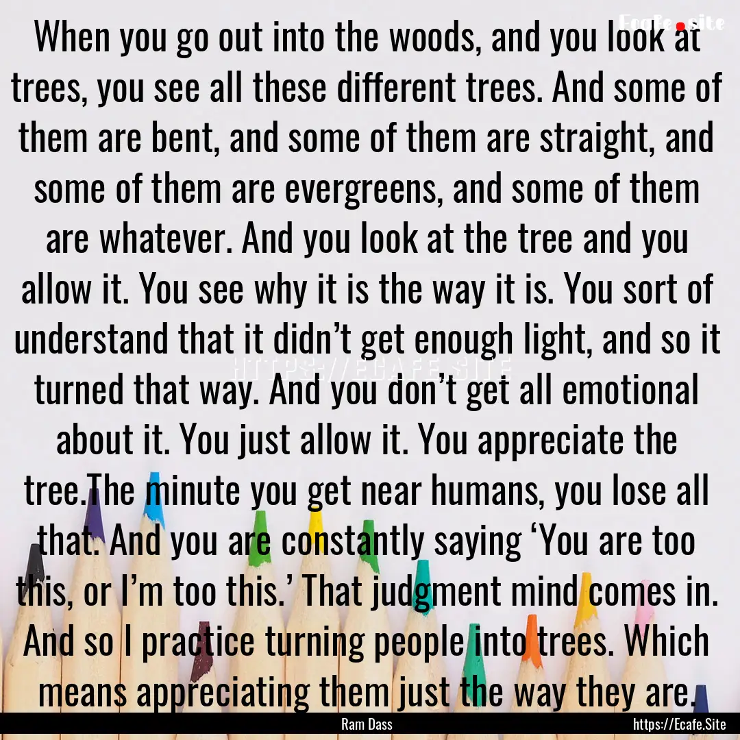 When you go out into the woods, and you look.... : Quote by Ram Dass