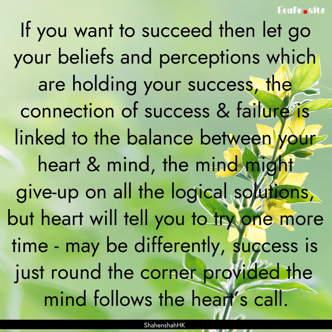 If you want to succeed then let go your beliefs.... : Quote by ShahenshahHK