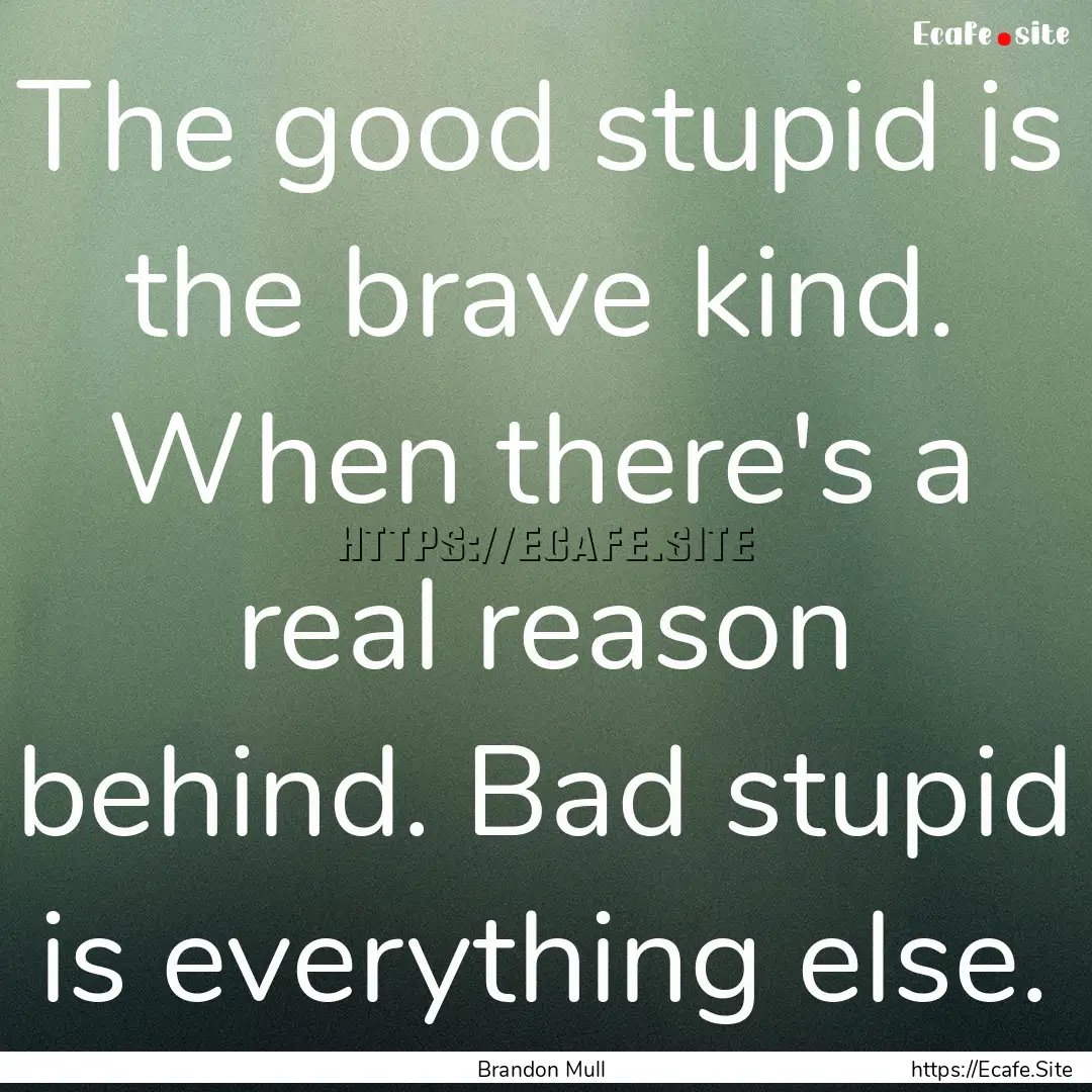 The good stupid is the brave kind. When there's.... : Quote by Brandon Mull