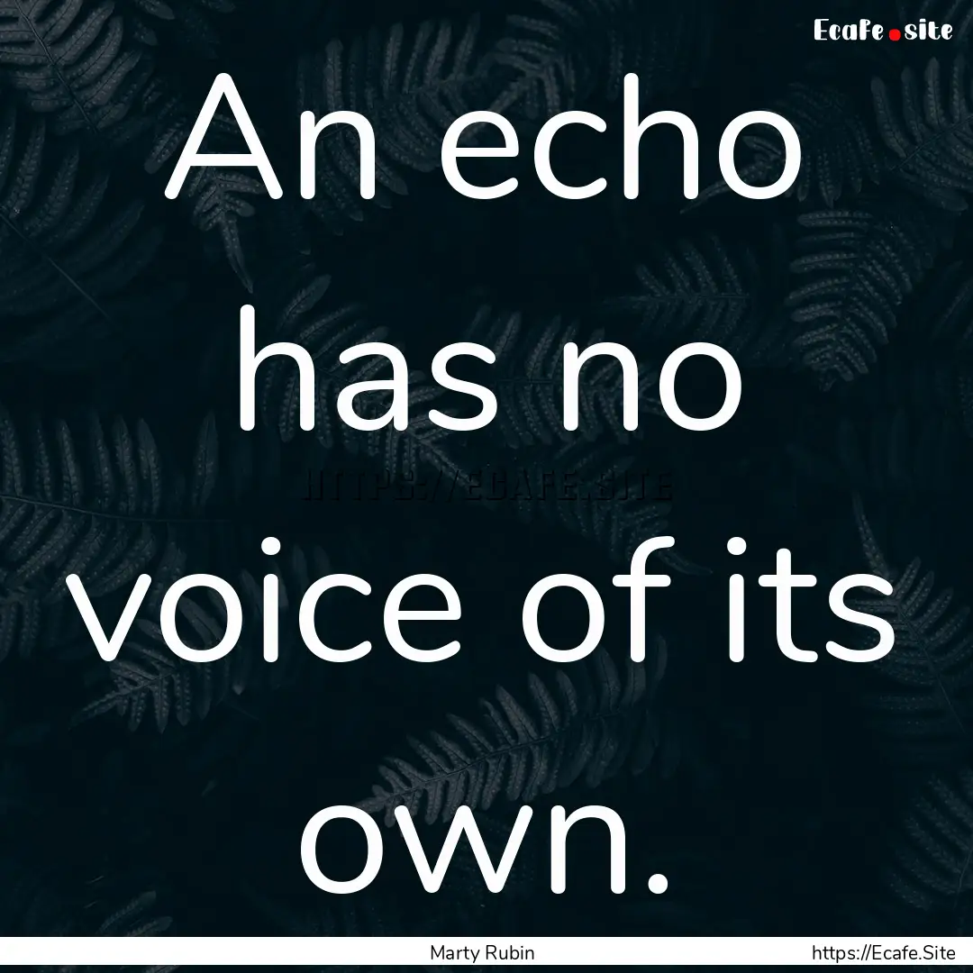 An echo has no voice of its own. : Quote by Marty Rubin