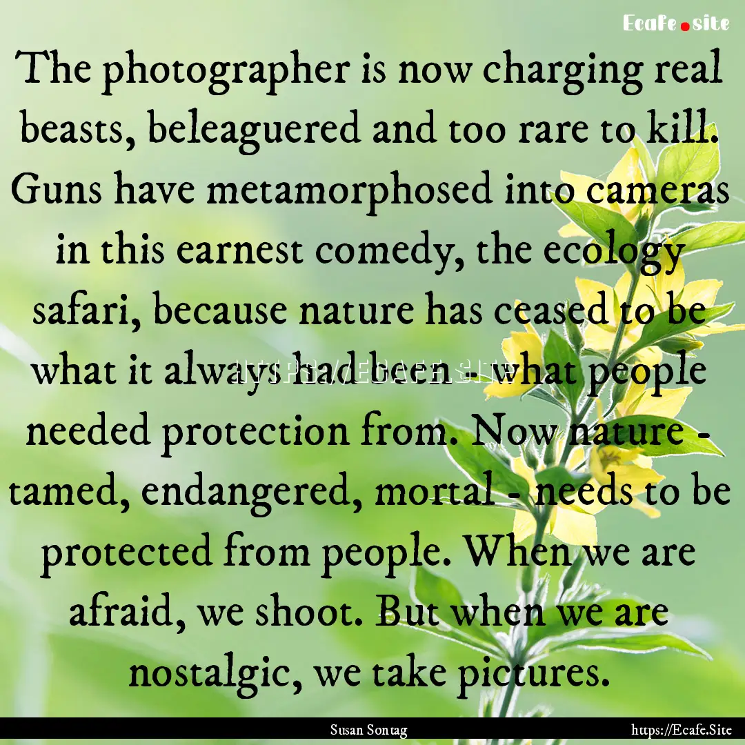 The photographer is now charging real beasts,.... : Quote by Susan Sontag