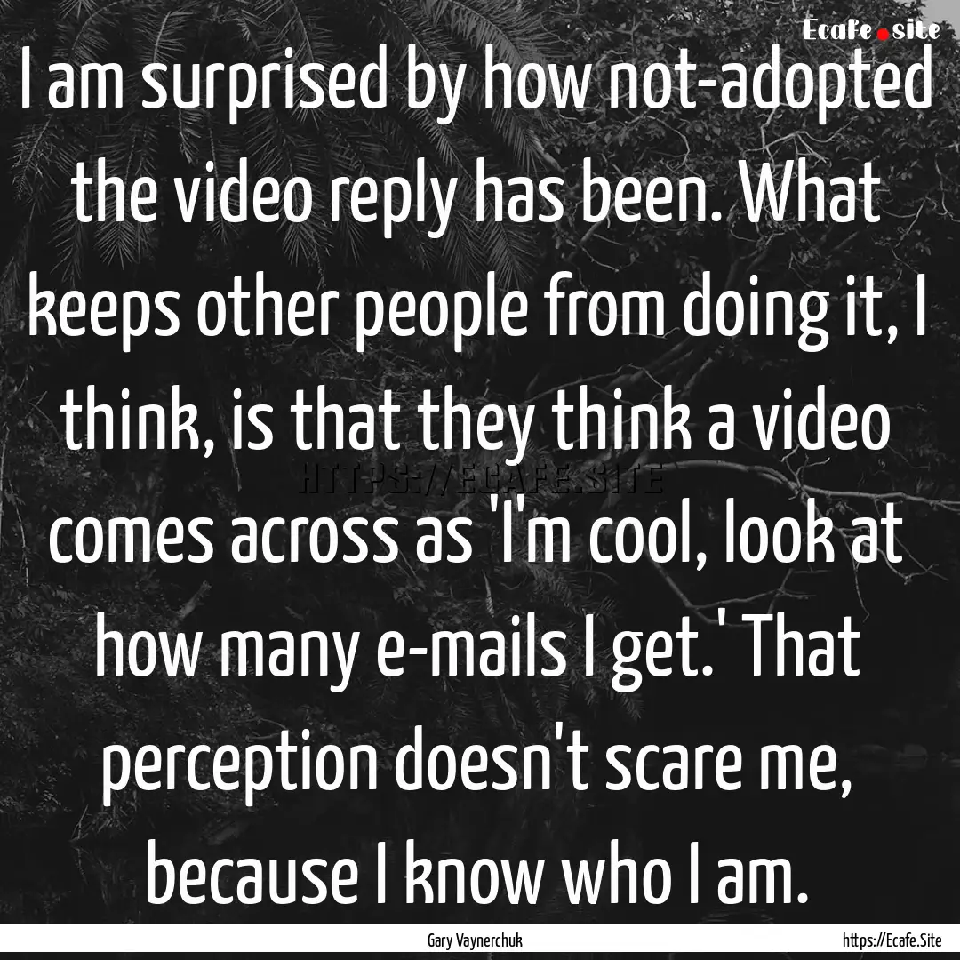 I am surprised by how not-adopted the video.... : Quote by Gary Vaynerchuk