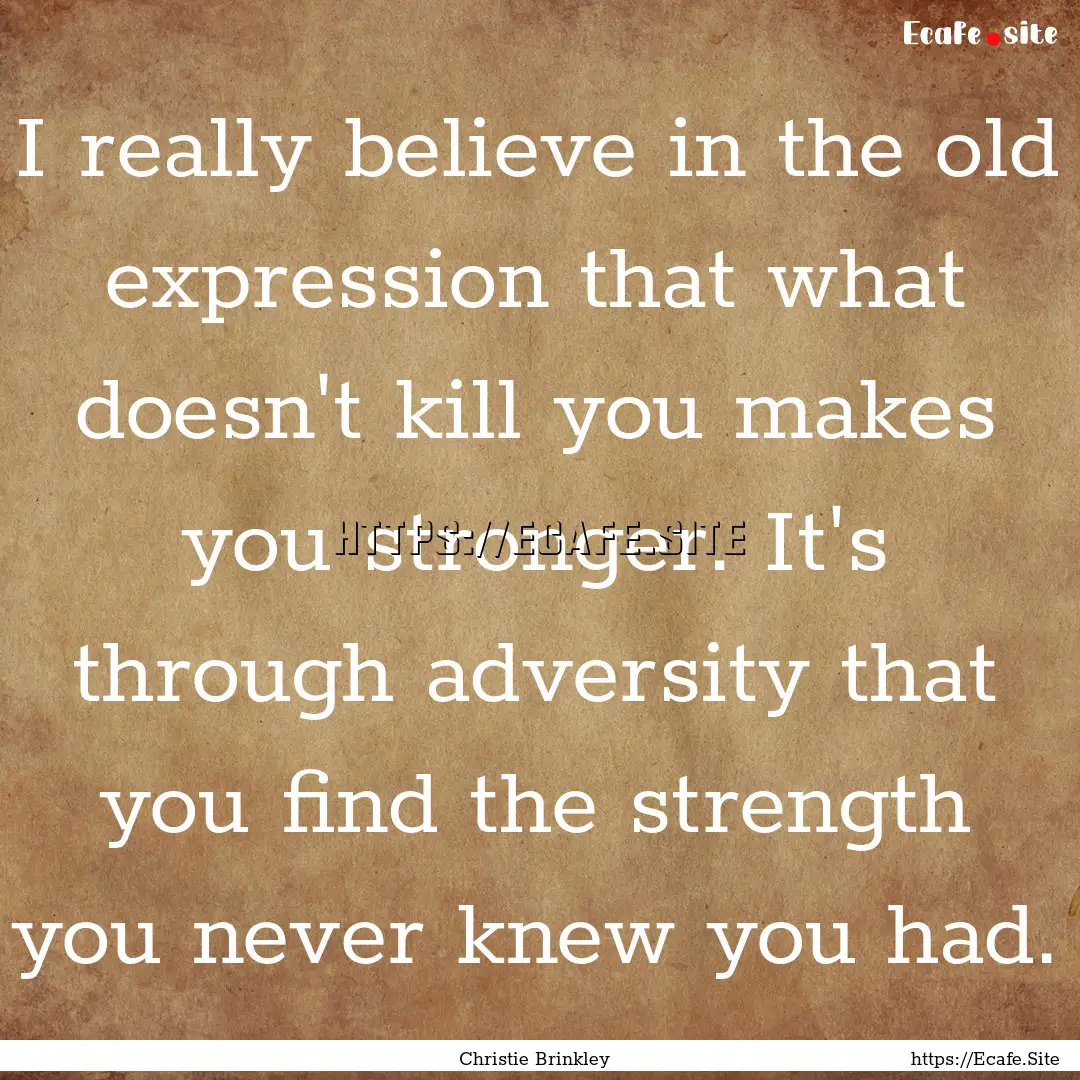 I really believe in the old expression that.... : Quote by Christie Brinkley