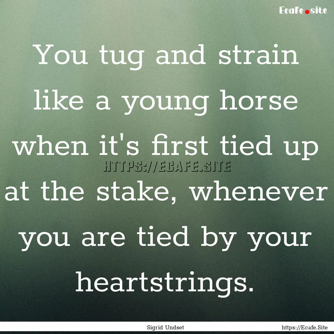 You tug and strain like a young horse when.... : Quote by Sigrid Undset