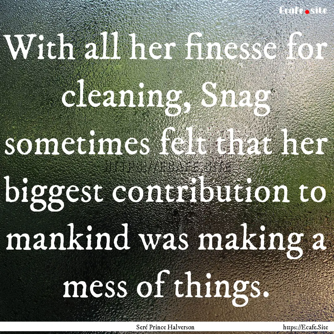 With all her finesse for cleaning, Snag sometimes.... : Quote by Seré Prince Halverson