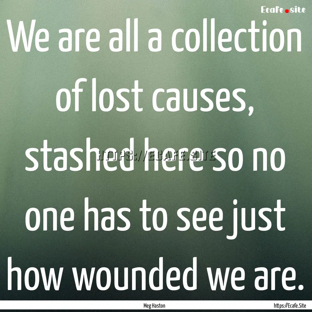 We are all a collection of lost causes, stashed.... : Quote by Meg Haston