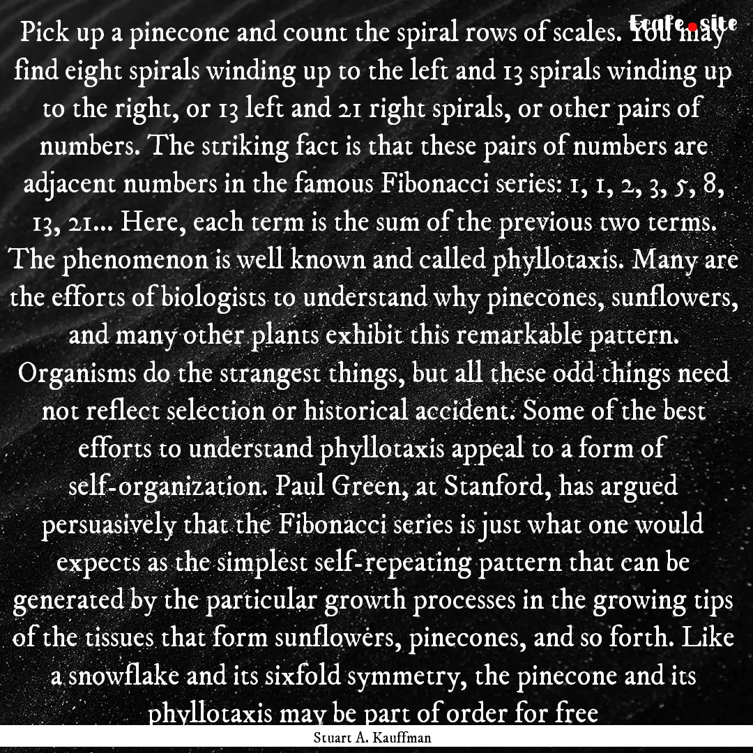 Pick up a pinecone and count the spiral rows.... : Quote by Stuart A. Kauffman