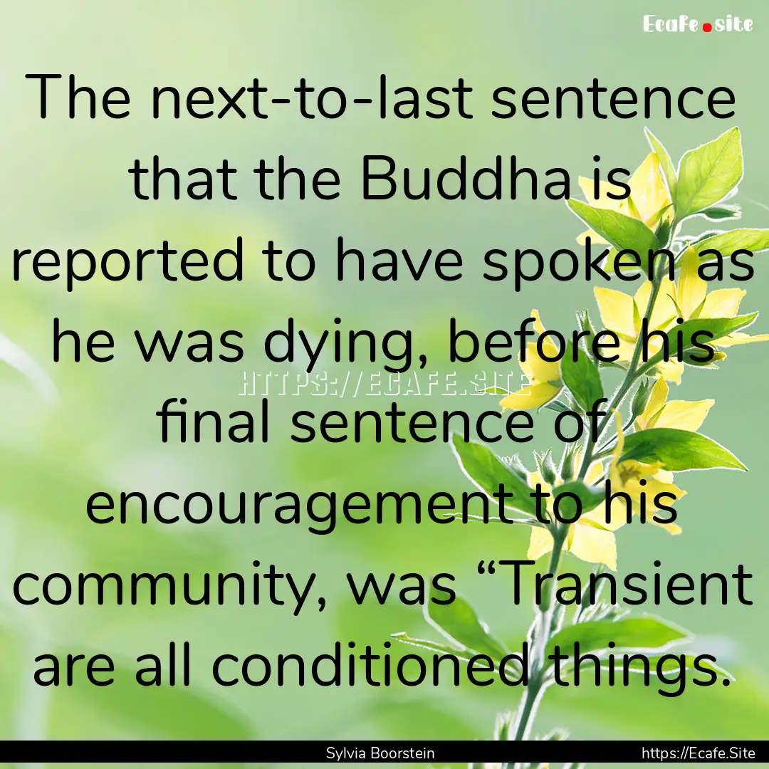 The next-to-last sentence that the Buddha.... : Quote by Sylvia Boorstein